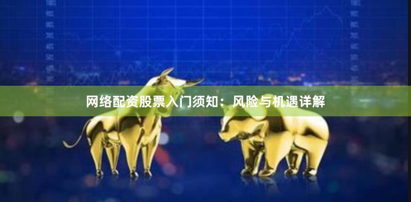 网络配资股票入门须知:风险与机遇详解